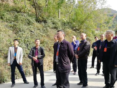 县人大常委会视察全县乡村振兴战略实施情况