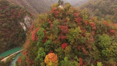 南漳有一个小村落，到了秋天满山红叶，美丽又优雅