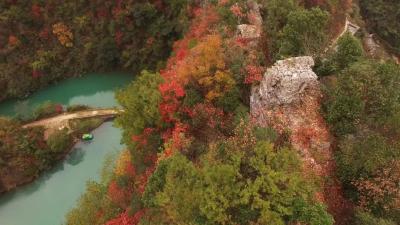 南漳有一个小村落，到了秋天满山红叶，美丽又优雅