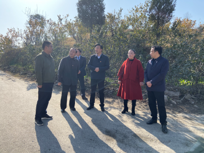 【快讯】王鹏到城关镇卞和社区开展“双报到”工作  