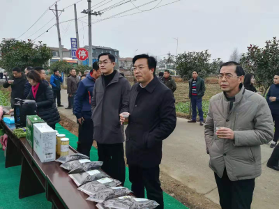 全县第四季度乡村振兴示范村拉练走进城关镇关庙集村  