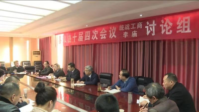 王鹏参加政协委员分组讨论 
