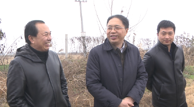 市领导调研渭河治理情况  