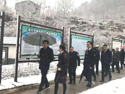 【快讯】我县举行2019年第四季度乡村振兴示范村拉练活动  