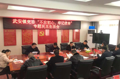 【快讯】县领导参加武安镇党委“不忘初心、牢记使命”专题民主生活会  