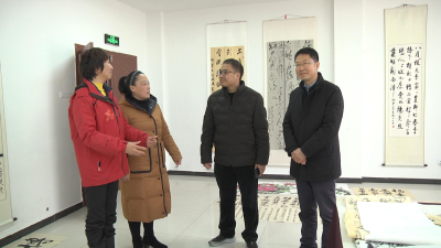 省委检查组到我县调研软弱涣散基层党组织整顿工作  