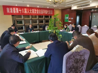 张功玉参加薛坪镇人大代表分团审议