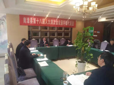 人大代表分团进行审议