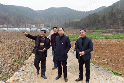 县领导调研指导东巩镇脱贫攻坚和党建工作