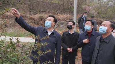 王鹏调研督办精准扶贫工作