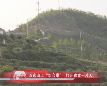 南漳新闻丨五官山上“组合拳”  打开致富一片天