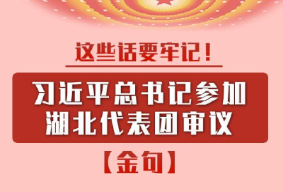 习近平参加湖北代表团审议时的金句来了!