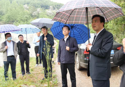  胡勇到南漳县调研脱贫攻坚工作  