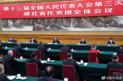 习近平在参加湖北代表团审议时强调：整体谋划系统重塑全面提升 织牢织密公共卫生防护网