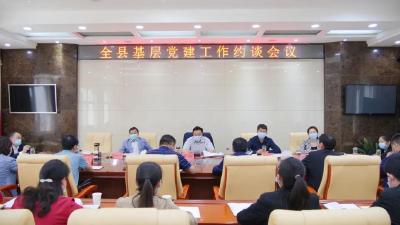 王鹏强调：以高质量党建引领高质量发展