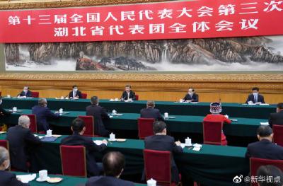 视频丨习近平参加湖北代表团审议