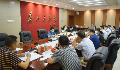 全县文化和旅游专班会议召开