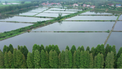 南漳：病害防治到现场  水产养殖有保障