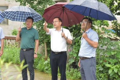 雷斌调研违建整改工作强调：夯实责任　逐步消化　深入落实省委巡视整改要求