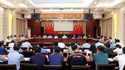 王鹏强调：  切实抓好规划编制和项目策划   促进乡村振兴战略扎实推进