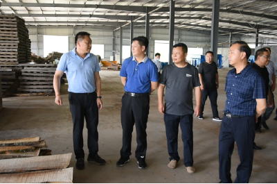 县领导调研重点项目建设