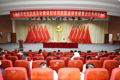 全县基层党组织规范化建设拉练观摩暨基层党建重点任务推进会议召开