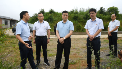 市领导吕义斌到我县调研基层党建工作
