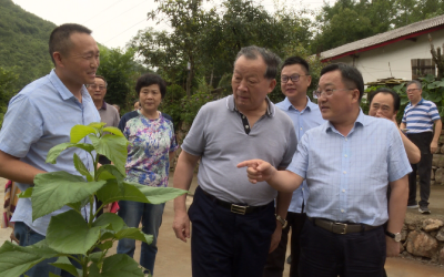 省老促会领导到我县调研产业扶贫工作  