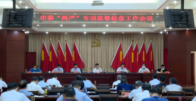我县召开市委“两严”专项监督检查工作会议