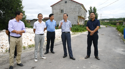 县领导调研美丽乡村建设  