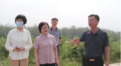 市政协领导到我县开展“协商在一线”活动