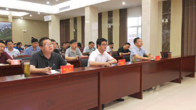 全省上半年经济运行调度电视电话会召开