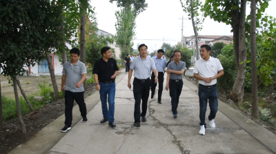 王鹏调研美丽乡村建设和软弱涣散基层党组织整顿工作