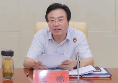 王鹏强调：持续巩固习近平新时代中国特色社会主义思想的指导地位
