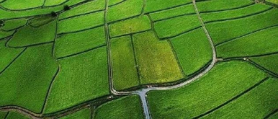 南漳将建设高标准农田48300亩，分布于4镇40村