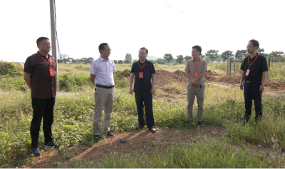 县政协对征而未用土地盘活利用问题进行民主监督