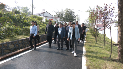 县领导赴枣阳市考察学习美丽乡村建设工作