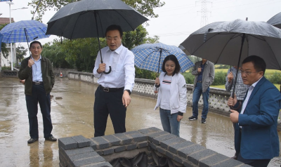 王鹏调研督办农村人居环境整治三年行动百日攻坚工作