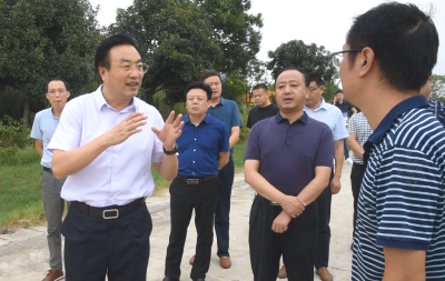王鹏调研督办重点项目建设