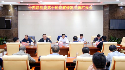 我县召开十四届县委第十轮巡察情况汇报会