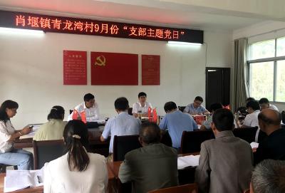 县领导到肖堰镇调研督导软弱涣散党组织整顿等工作