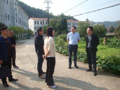 县领导专题调研花庄中学拟建教学楼用地问题