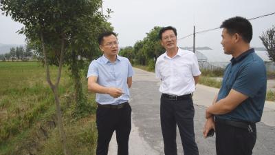 县领导调研秸秆禁烧工作