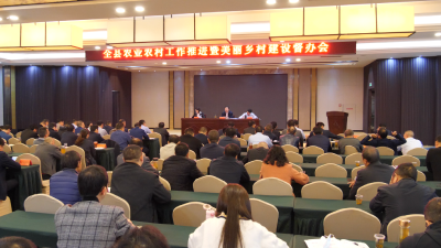 王鹏强调：加速推进美丽乡村补短板强弱项暨人居环境整治工作 全面凝聚抓好农业农村工作合力