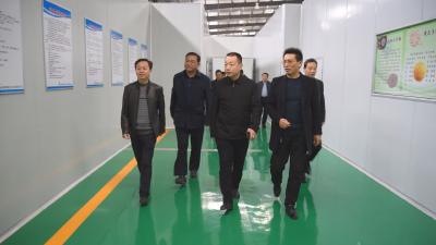 陈栋调研重点项目建设和清河区经济社会发展工作