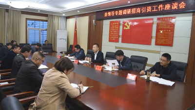 陈栋调研全县招商工作