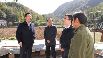 王鹏调研精准扶贫工作时强调：把乡村文化建设与产业发展相结合 推动产业转型升级 巩固脱贫成果