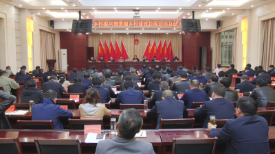 全县乡村振兴暨美丽乡村建设拉练活动圆满结束 