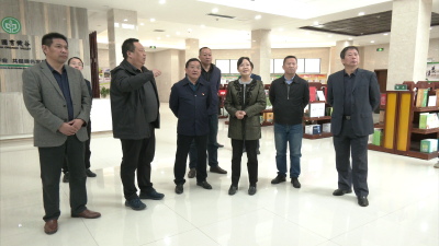 市领导到我县调研基层统战建设工作