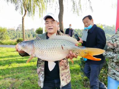 【图集二】襄阳好风日  “鱼”乐在南漳